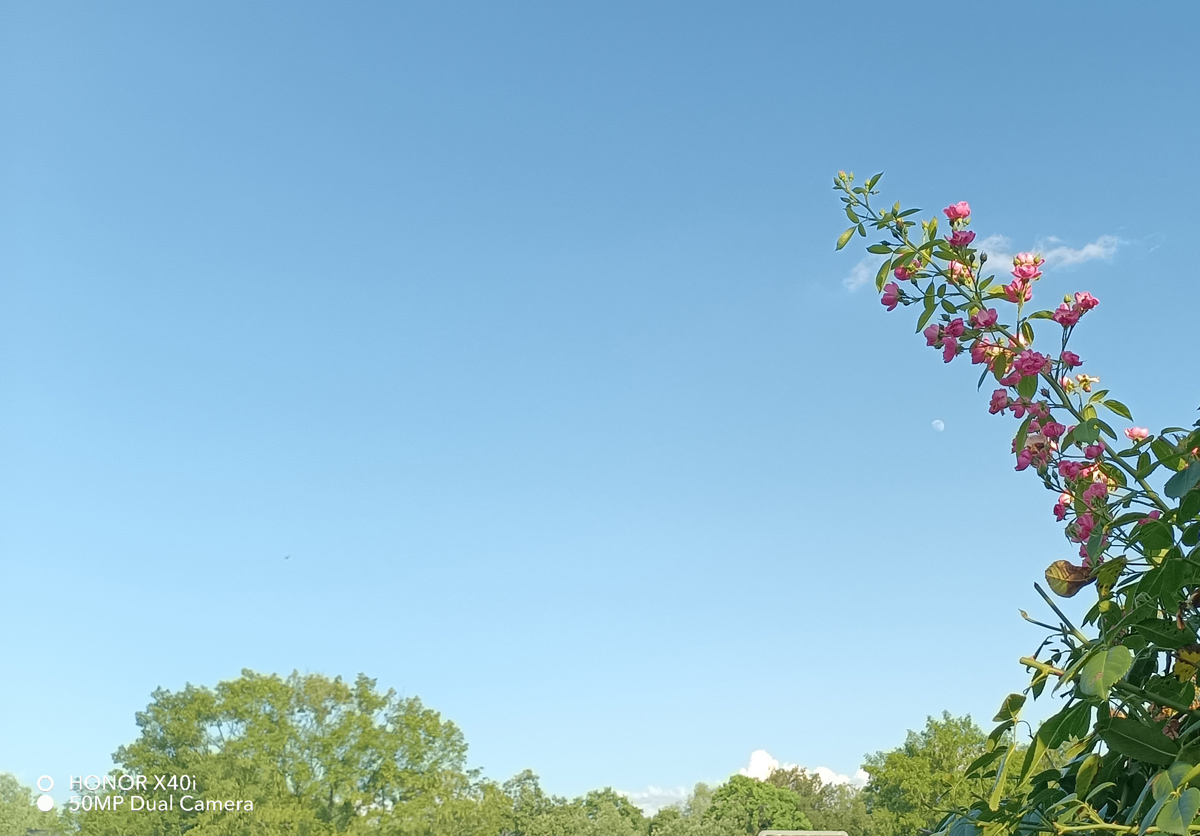 荣耀x40i屏幕参数,荣耀x40i深度测评