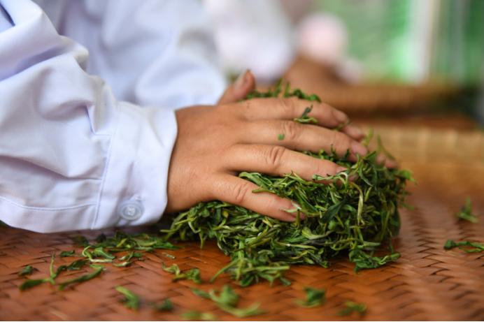 买茶的小窍门收藏一下大有用处,买茶叶的时候选什么茶最好