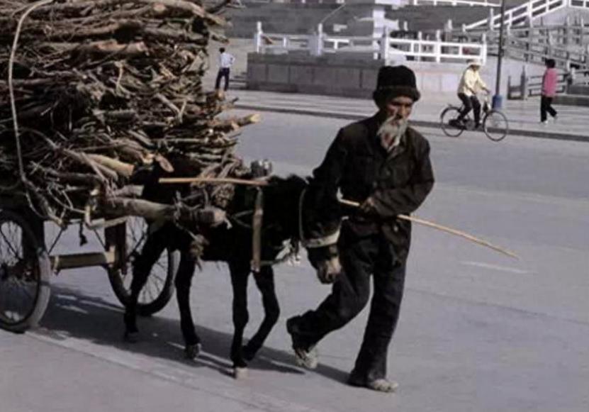 大妈被儿媳百般刁难,老人被女儿女婿嫌弃怎么办