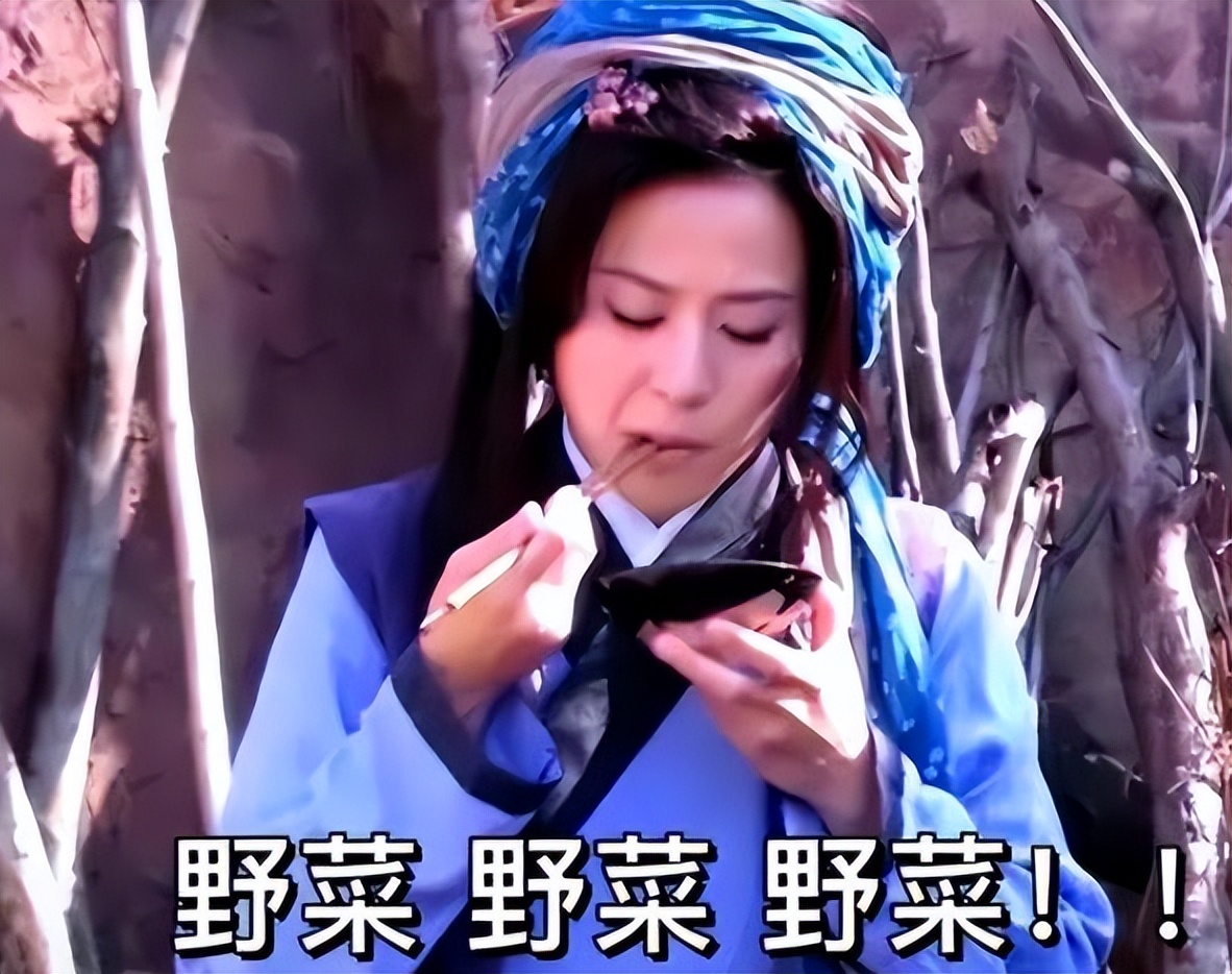 比王宝钏还惨的小说,比王宝钏还苦的女人