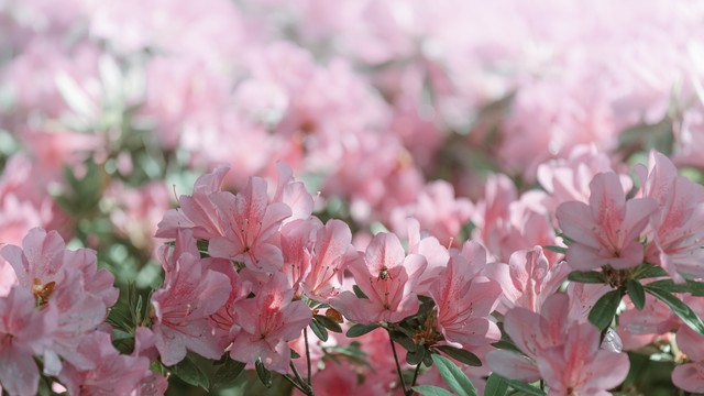 一个家富不起来的原因,一个家庭富不起来的三句话