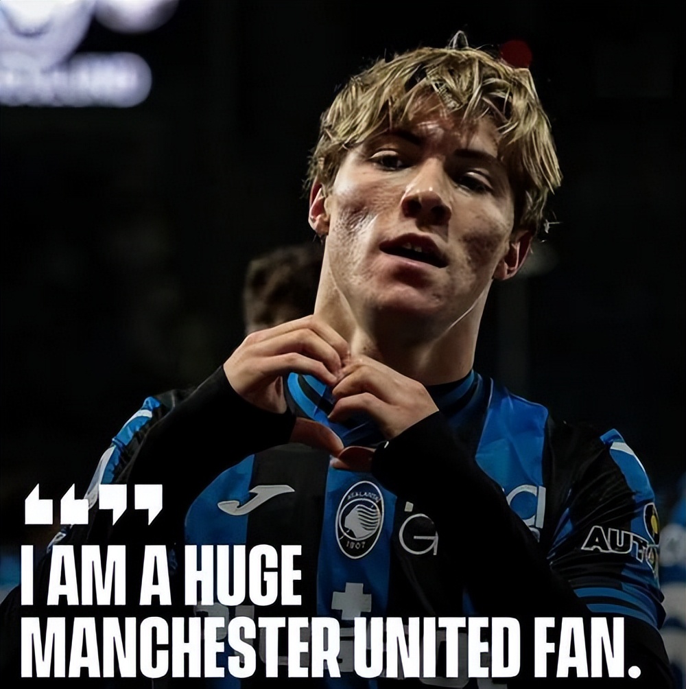 哈兰德二选一,哈兰德系列