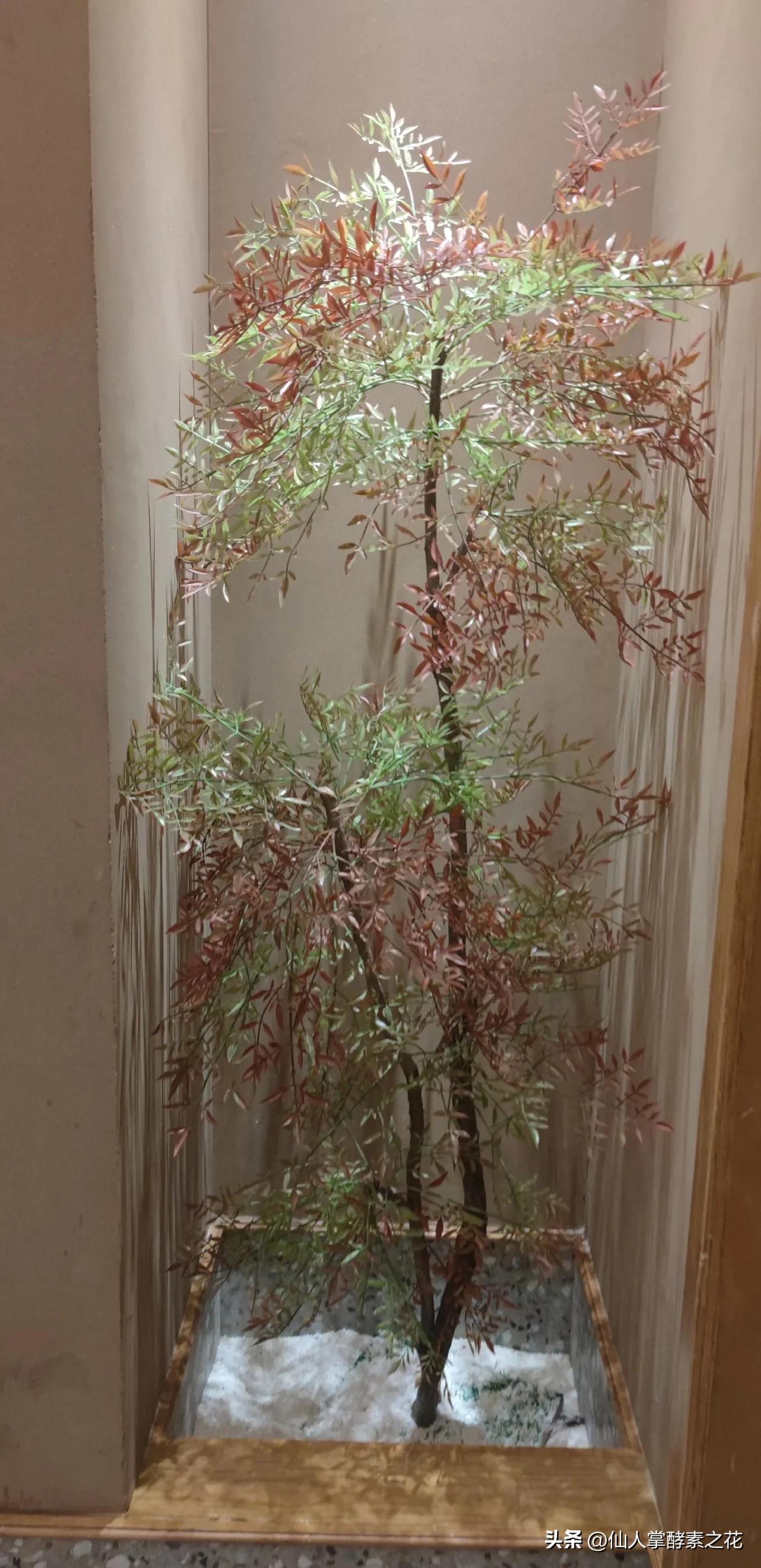 在饭店干服务员一天半有工资没,饭店服务员专门工作