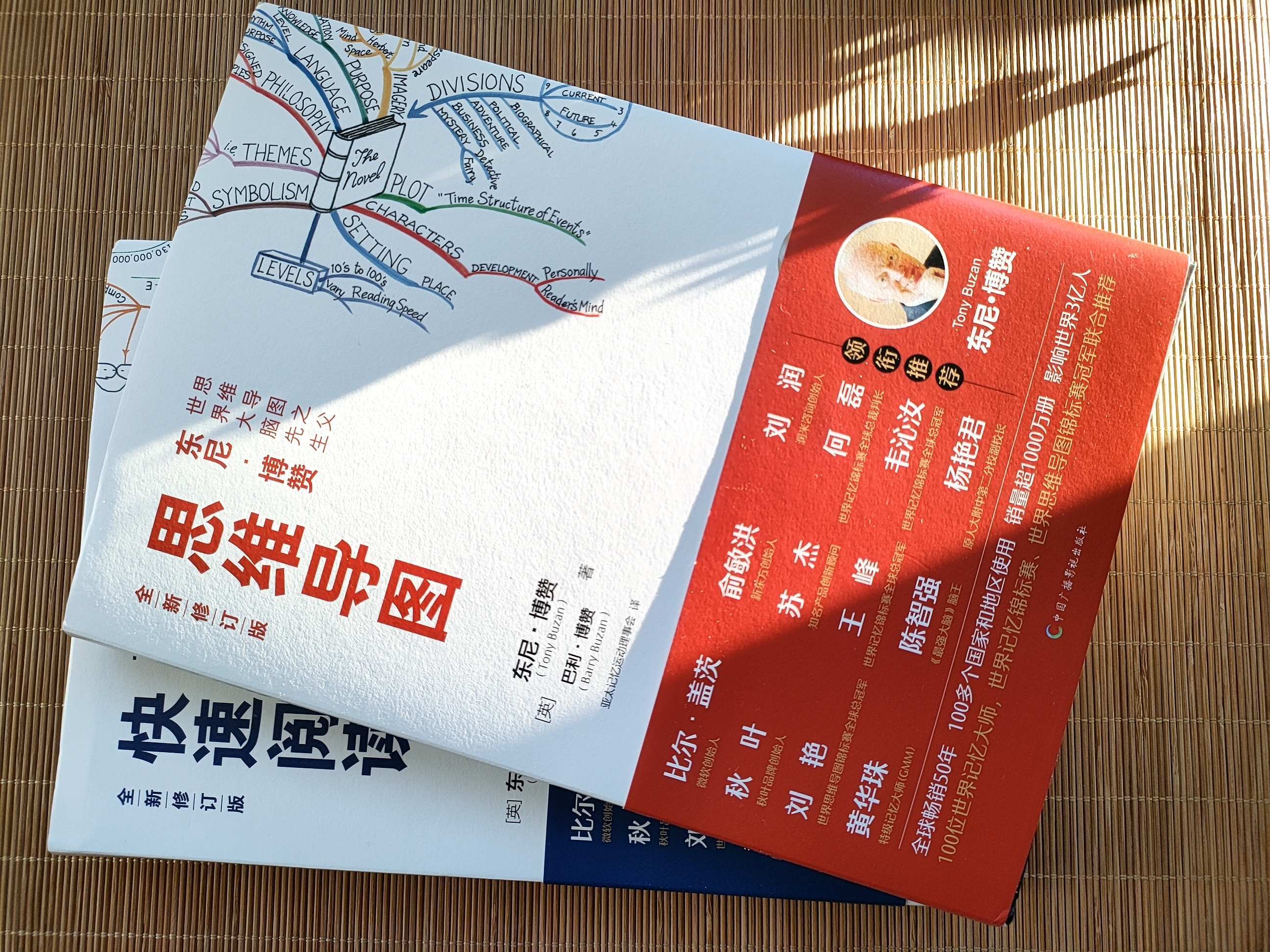 东尼博赞思维导图,东尼博赞思维导图真的有效吗