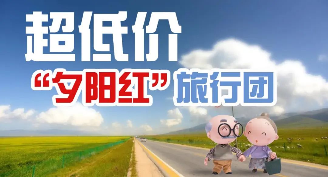 守好钱袋子这份手册识破养老诈骗,筑牢防骗安全网守住养老钱袋子