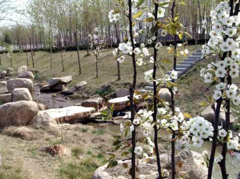 山东医学院临床医学专业,山东第一医科大学停招了哪些专业