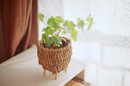 情商比智商更重要,情商比智商更重要吗英语作文