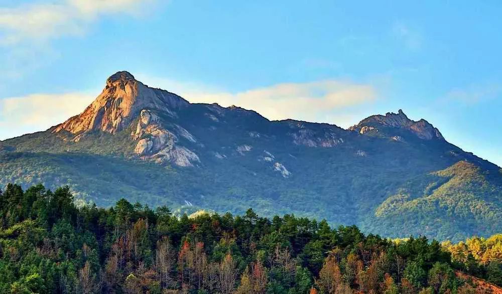 letsgo一周目攻略,letsgo图鉴攻略