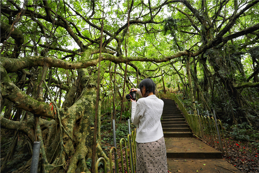 海南东线自驾乡村游攻略,海南原始村落自驾游