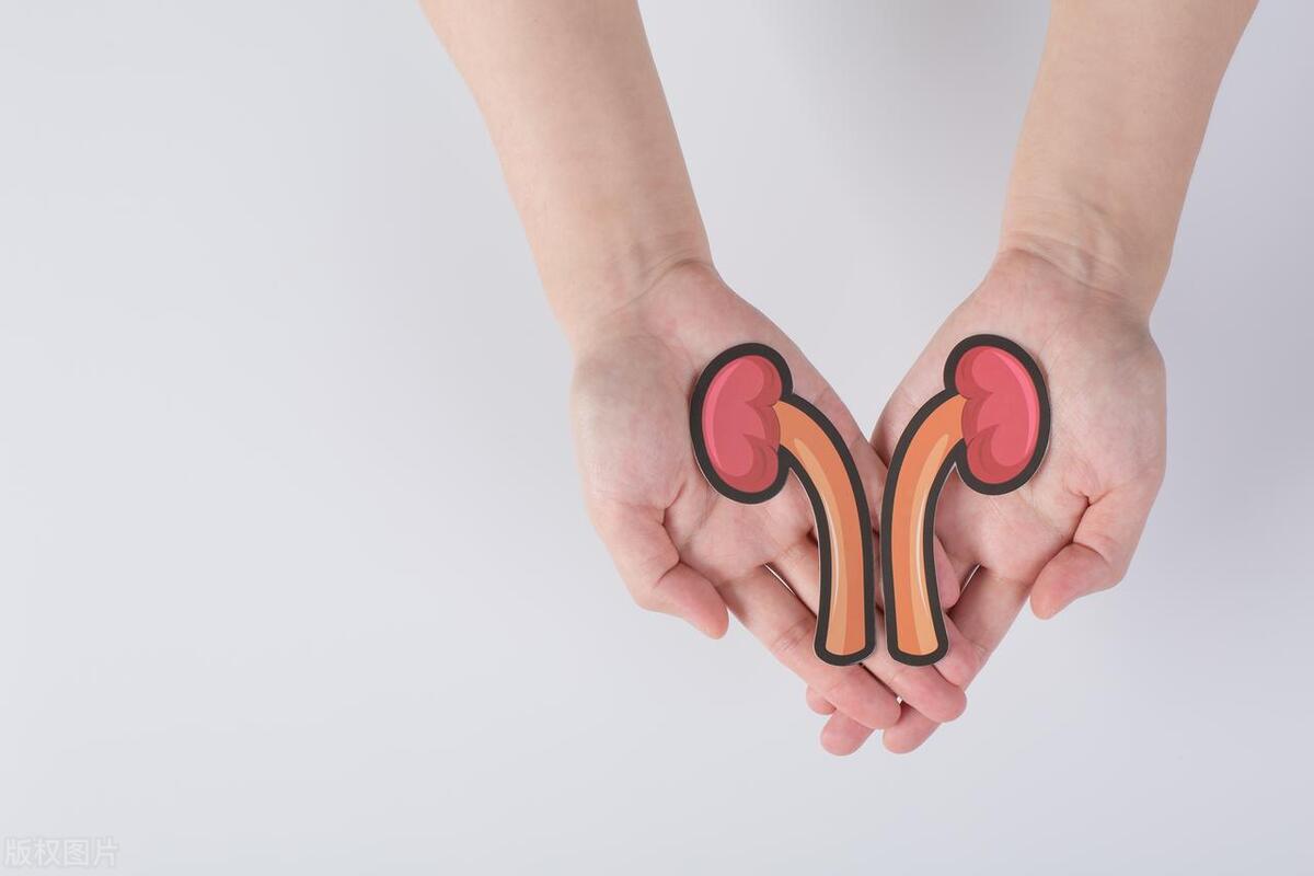 名老中医调理肺脾肾,肾肺气虚吃什么中药