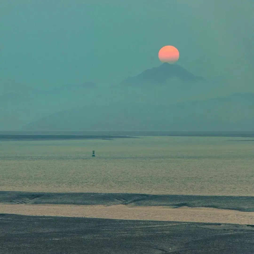 朋友圈背景送给大家,朋友圈背景送你一朵花
