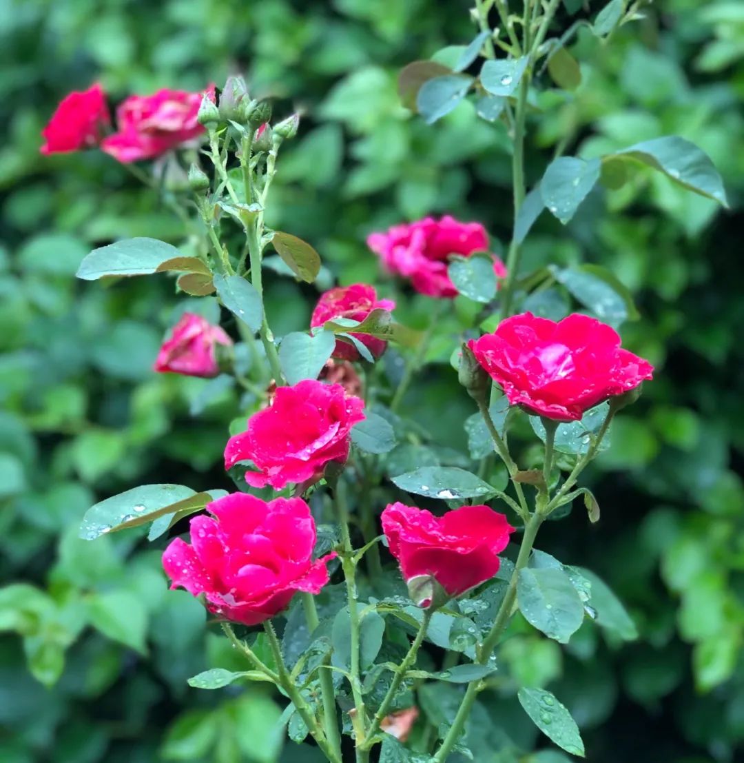 六一童真之旅,欢乐过六一儿童创意作品