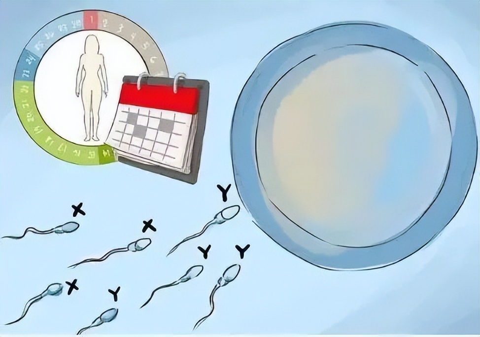 138年来都只生儿子的家族终于迎来女宝,生个女儿真的有这么难?