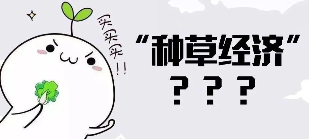 小红书种草推广和商业推广,小红书如何做有效的产品推广