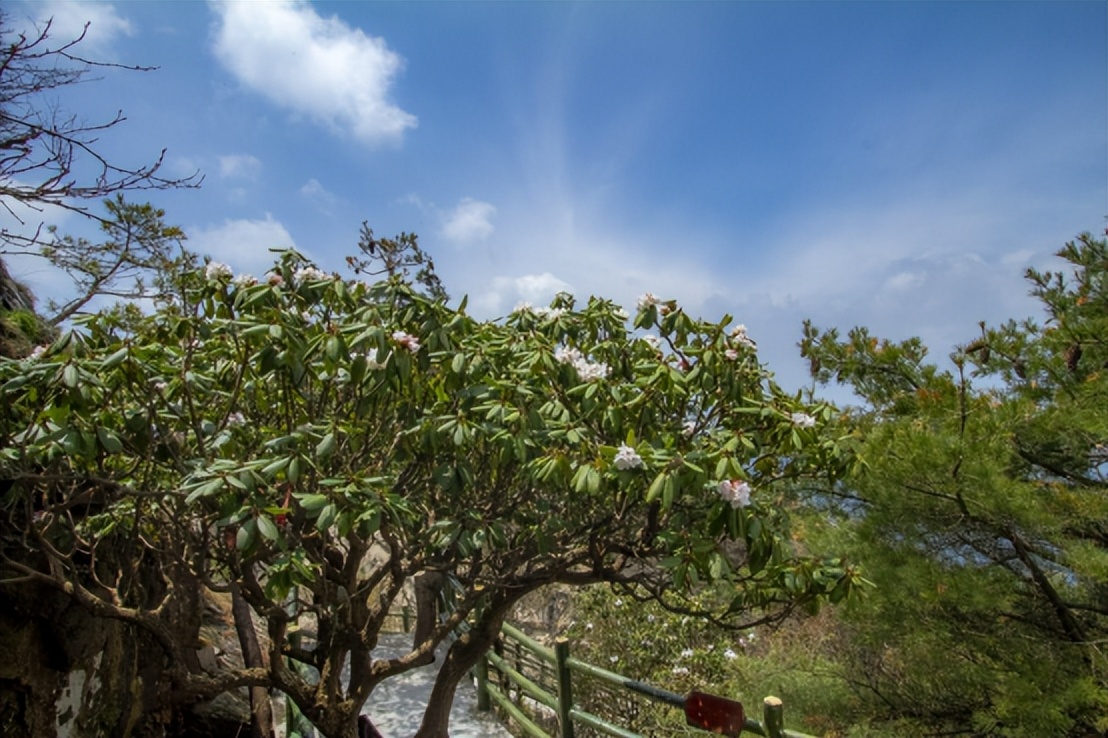 2021年中国旅游日河南免门票景区,2020中国旅游日河南免费景区