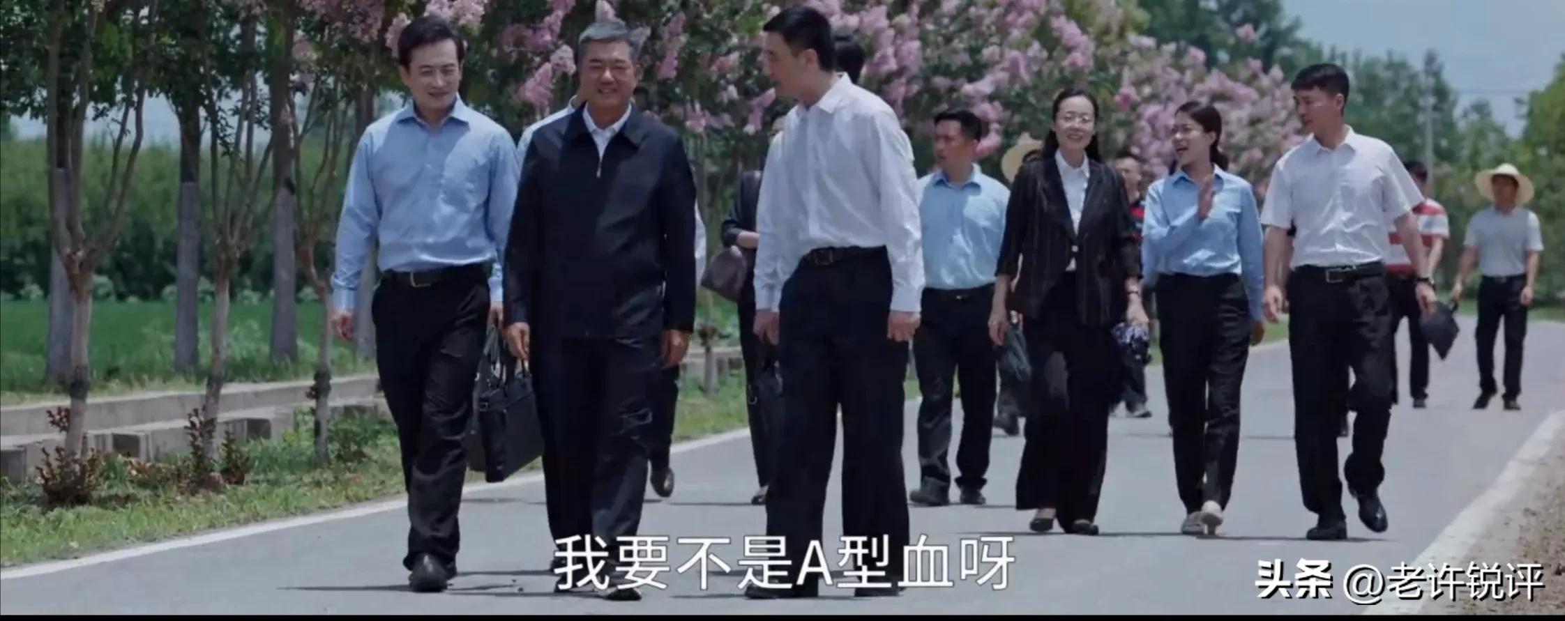 县委大院第1-30集解析,县委大院第八集深度理解