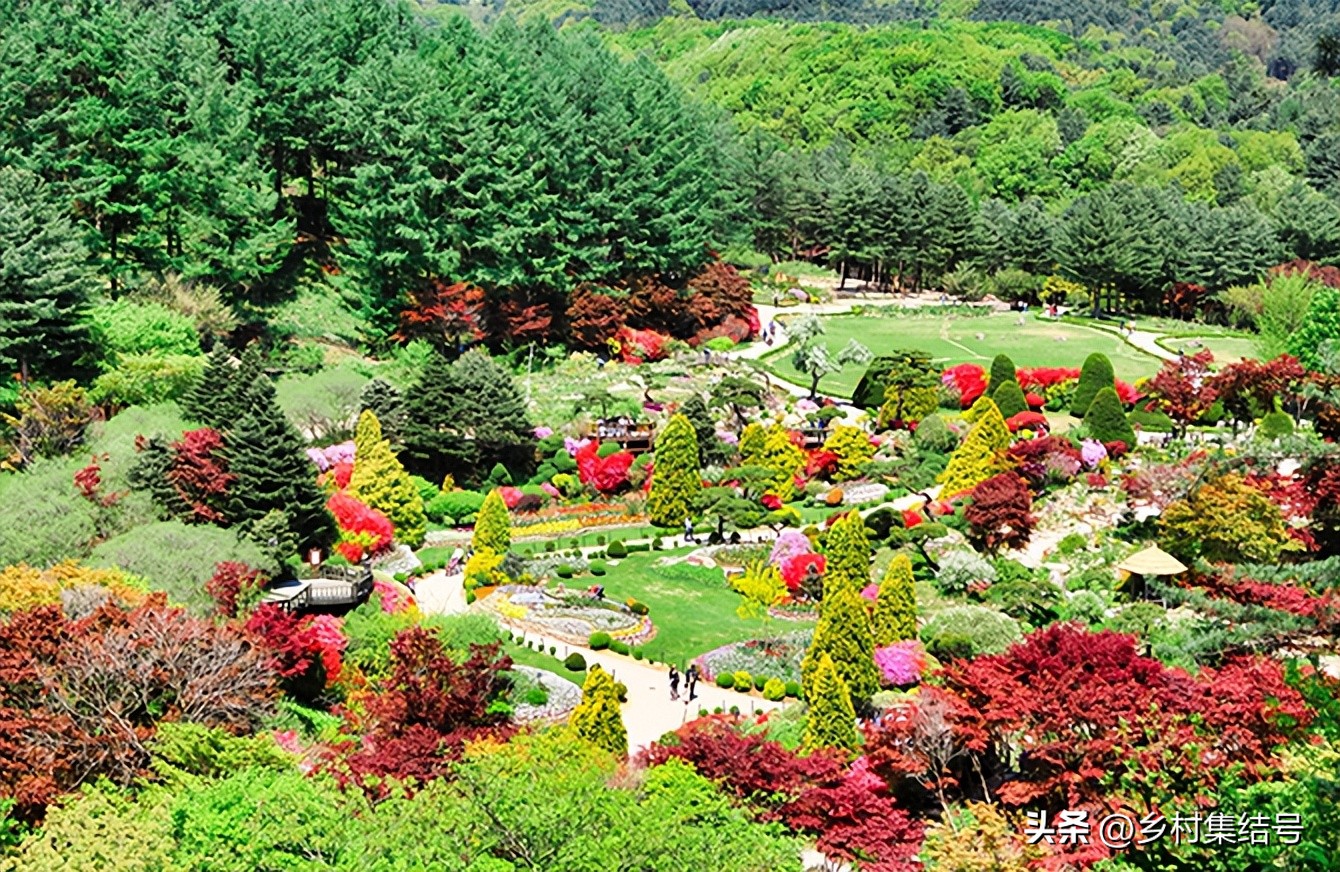 韩国晨静花园,韩国晨静树木园设计方案