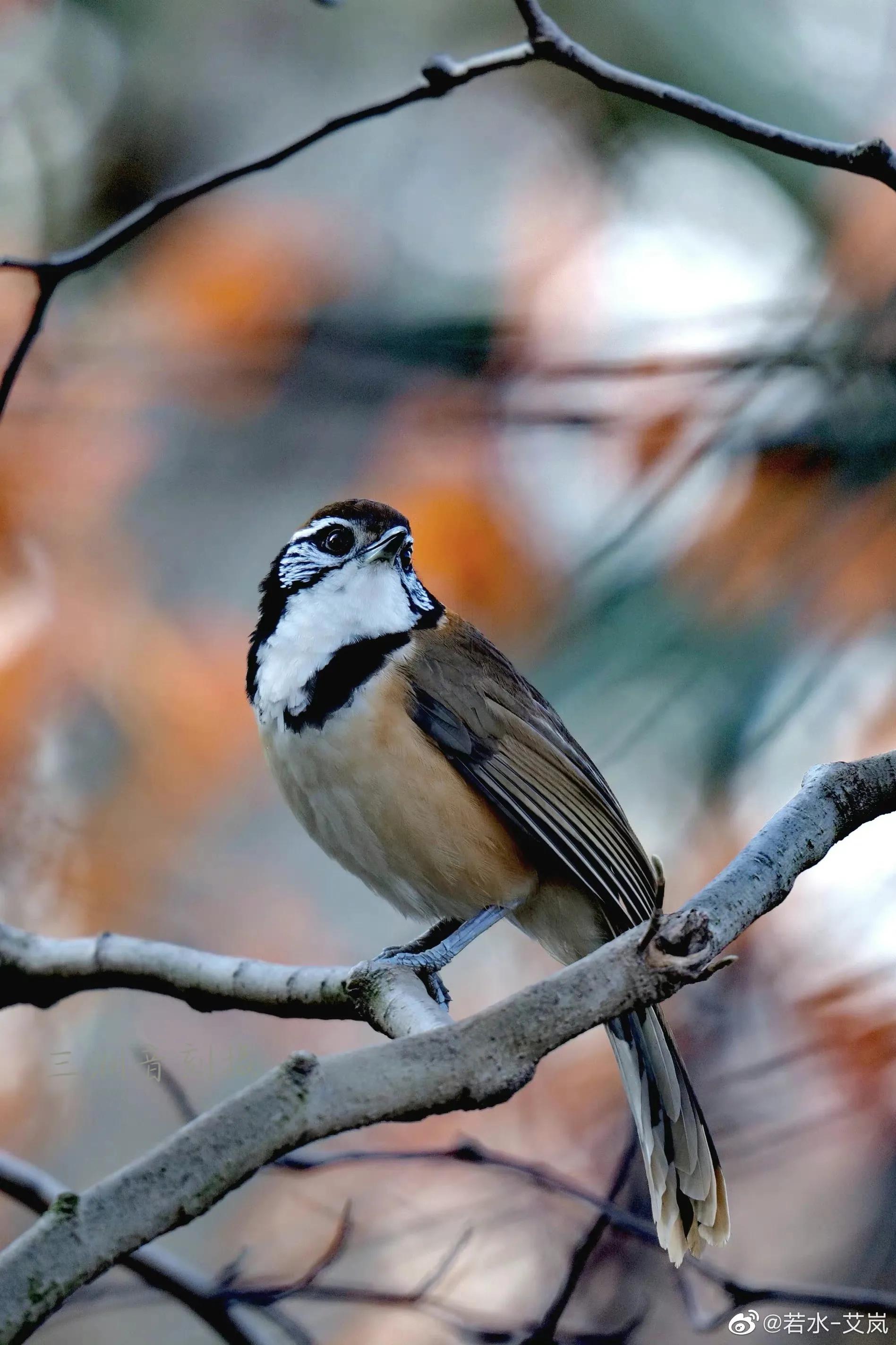 上海市嘉定区安亭国际汽车城,上海嘉定安亭国际汽车城