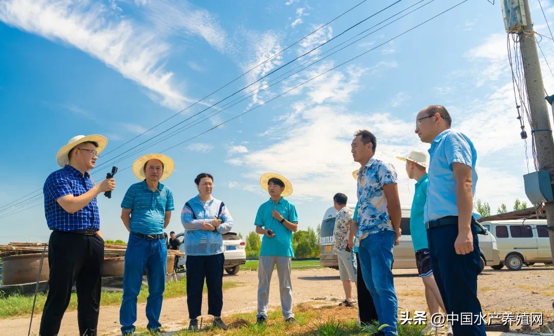 合工大食品与生物工程学院实践团：当涂凝聚青年力量赋能乡村振兴