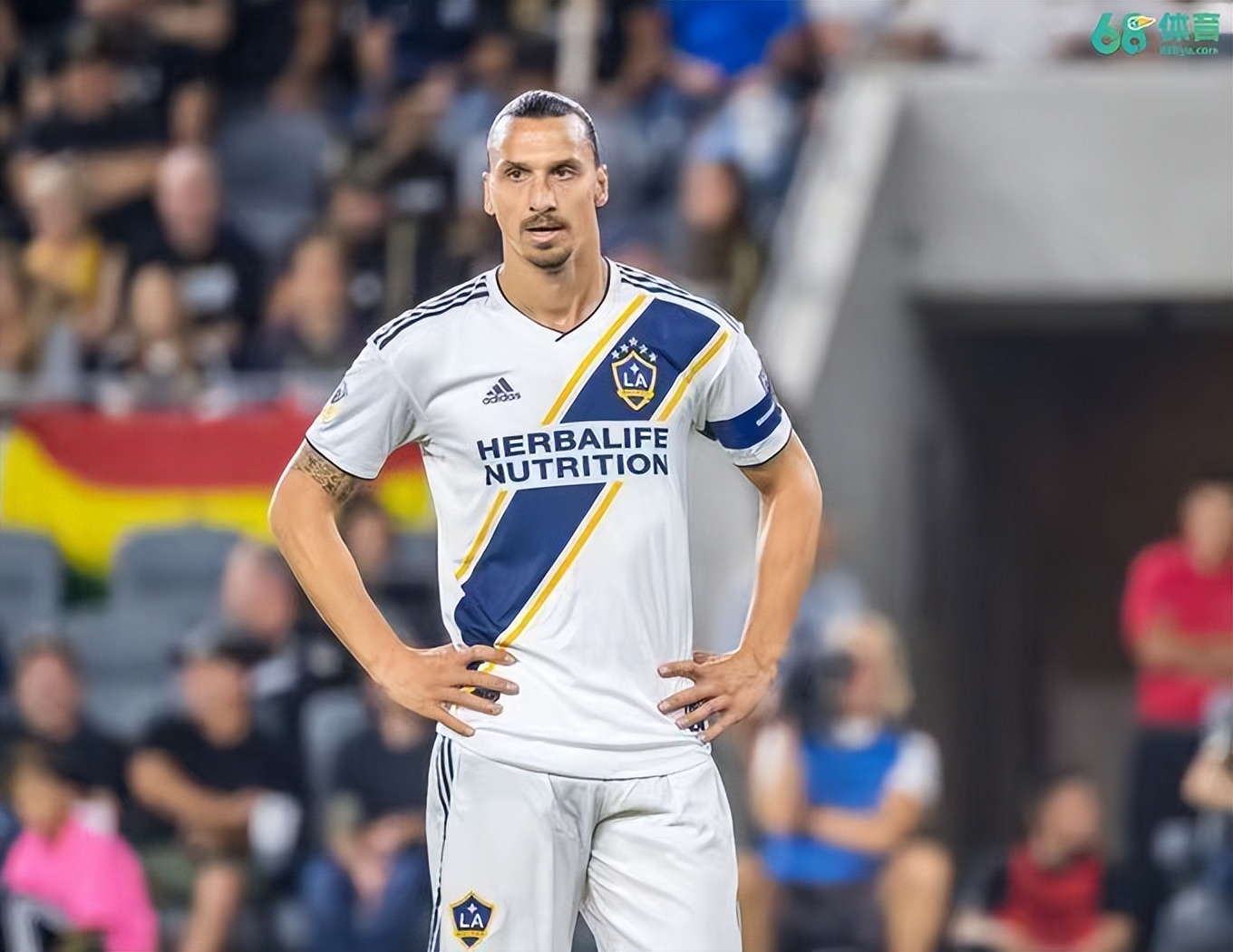 这些球员来美国之前就已经是超级巨星了