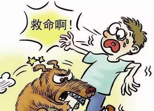 狗狗患上狂犬病的六种表现,狗狗出现什么症状说明是狂犬病