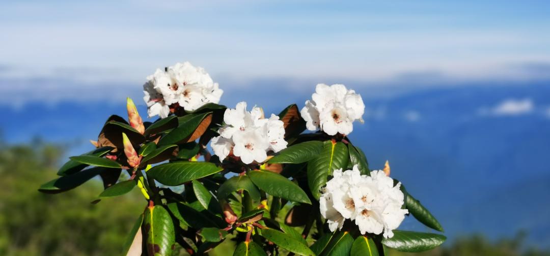 四川小众景点自驾,四月自驾游四川适合旅游的地方