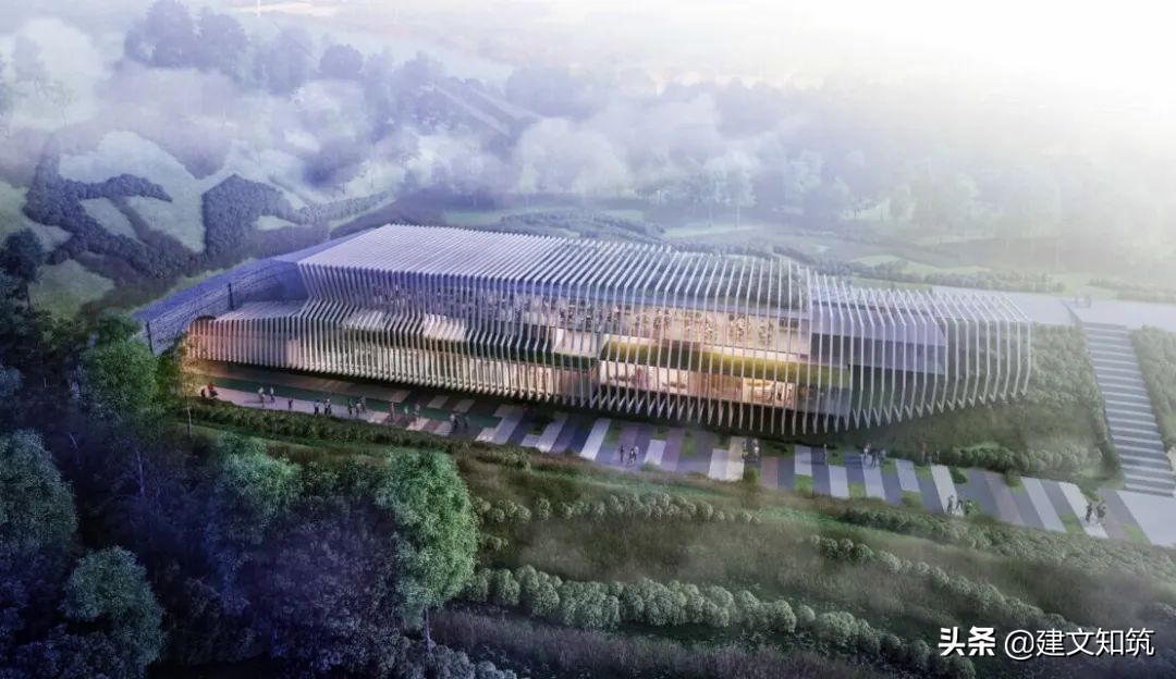 waf2023世锦赛,waf国内排名