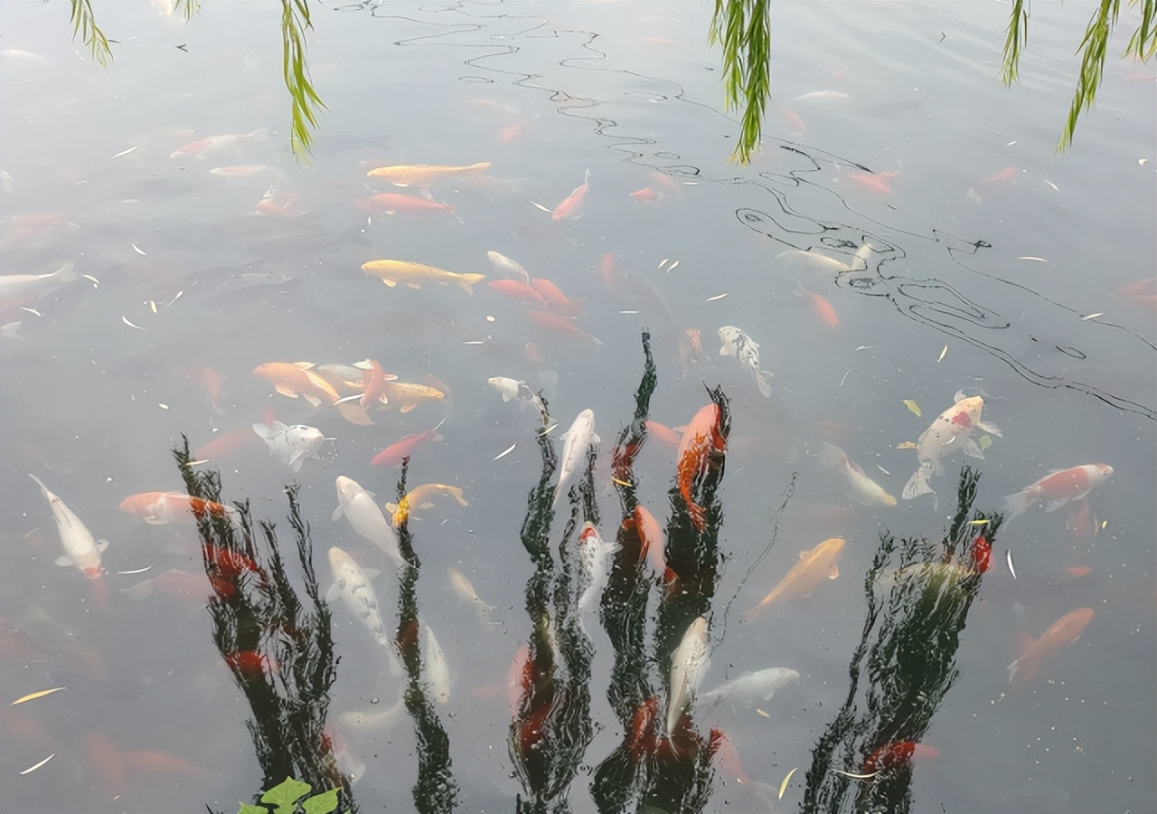 济南游玩网红打卡地,冬季济南网红打卡景点