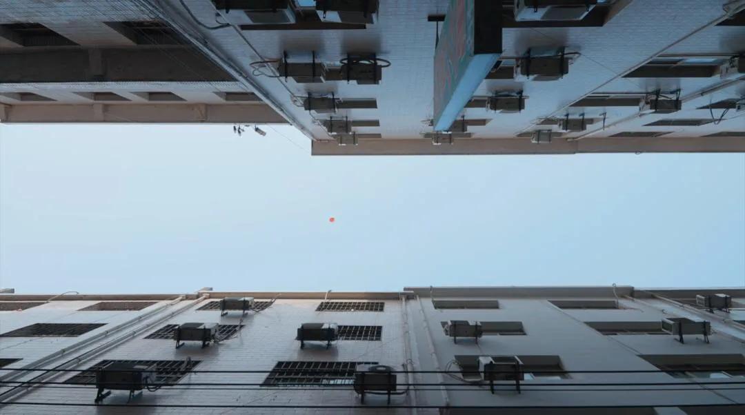 关于“伤害”的实验艺术，是为了给予更多关注和思考