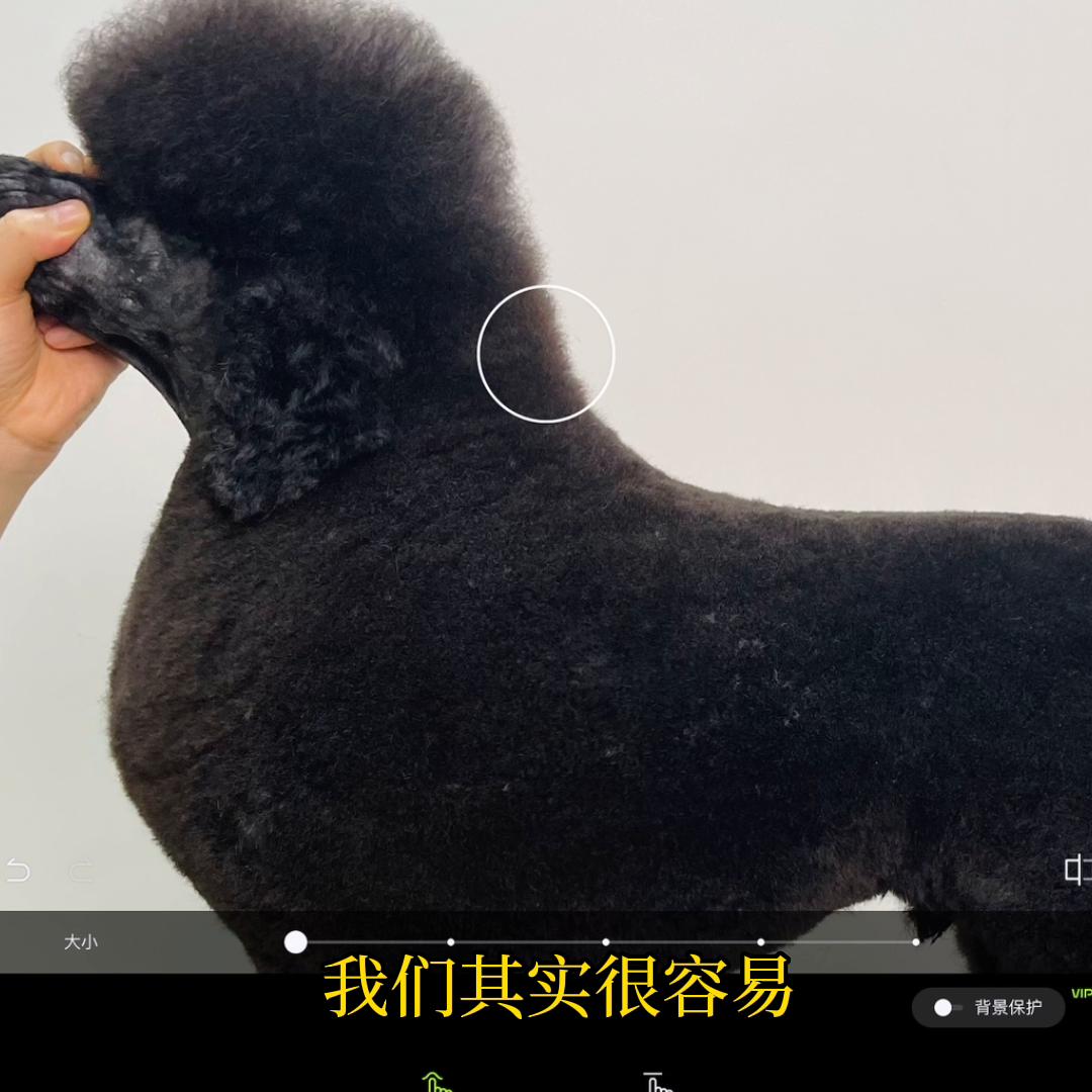 人像美容图片处理软件免费最新版,美容修图工具教程