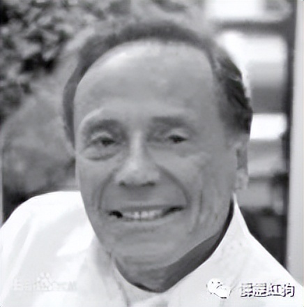 渴望生活梵高传全文赏析,梵高传和渴望生活