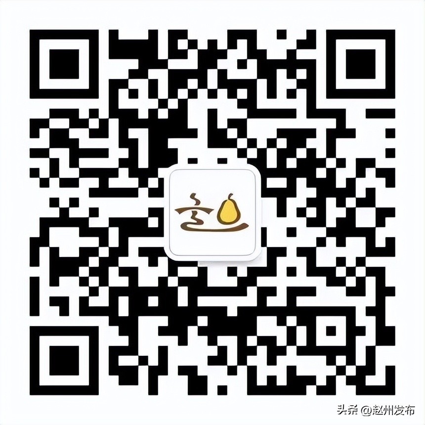 扫码关注！“赵州梨区域公用品牌”公众号上线啦！