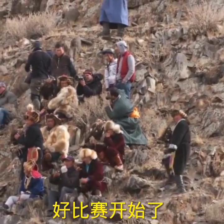 哈萨克斯坦猎鹰视频,猎鹰的历史