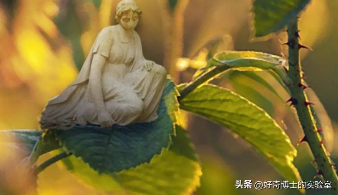 为什么女生来月经之前很容易生气,为什么女生来月经情绪总是爆发