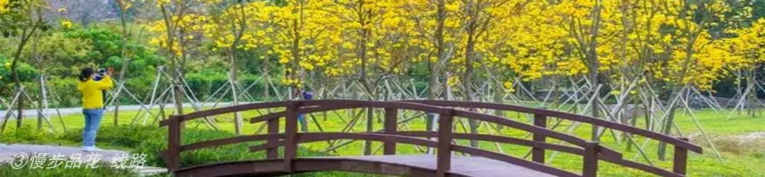 深圳自由行户外旅行,深圳市生态旅游精品线路