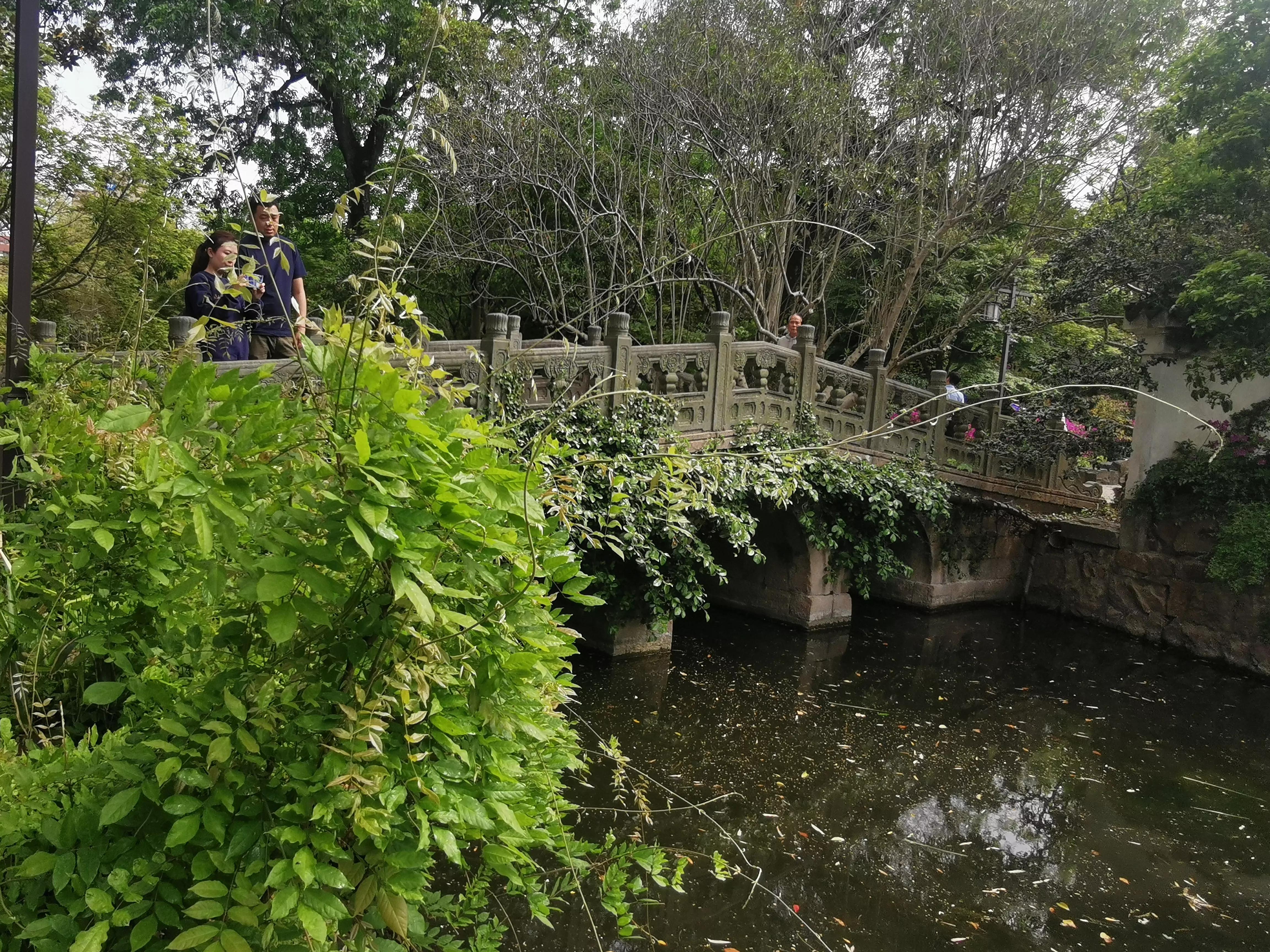 上海园林古猗园,上海古猗园留下美丽景色