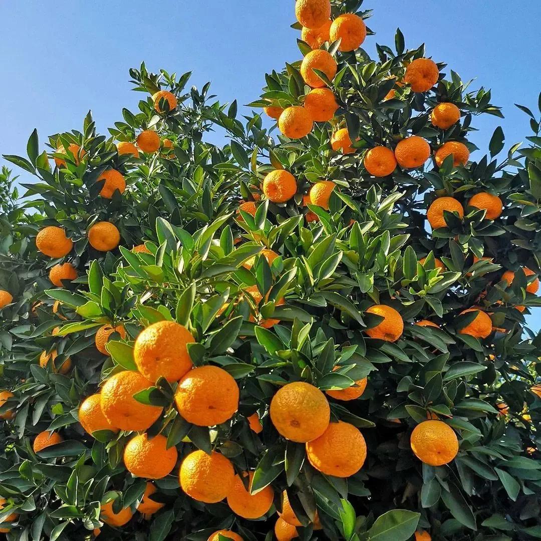 台州黄岩区属于沿海城市吗,台州为啥黄岩县分了三个区