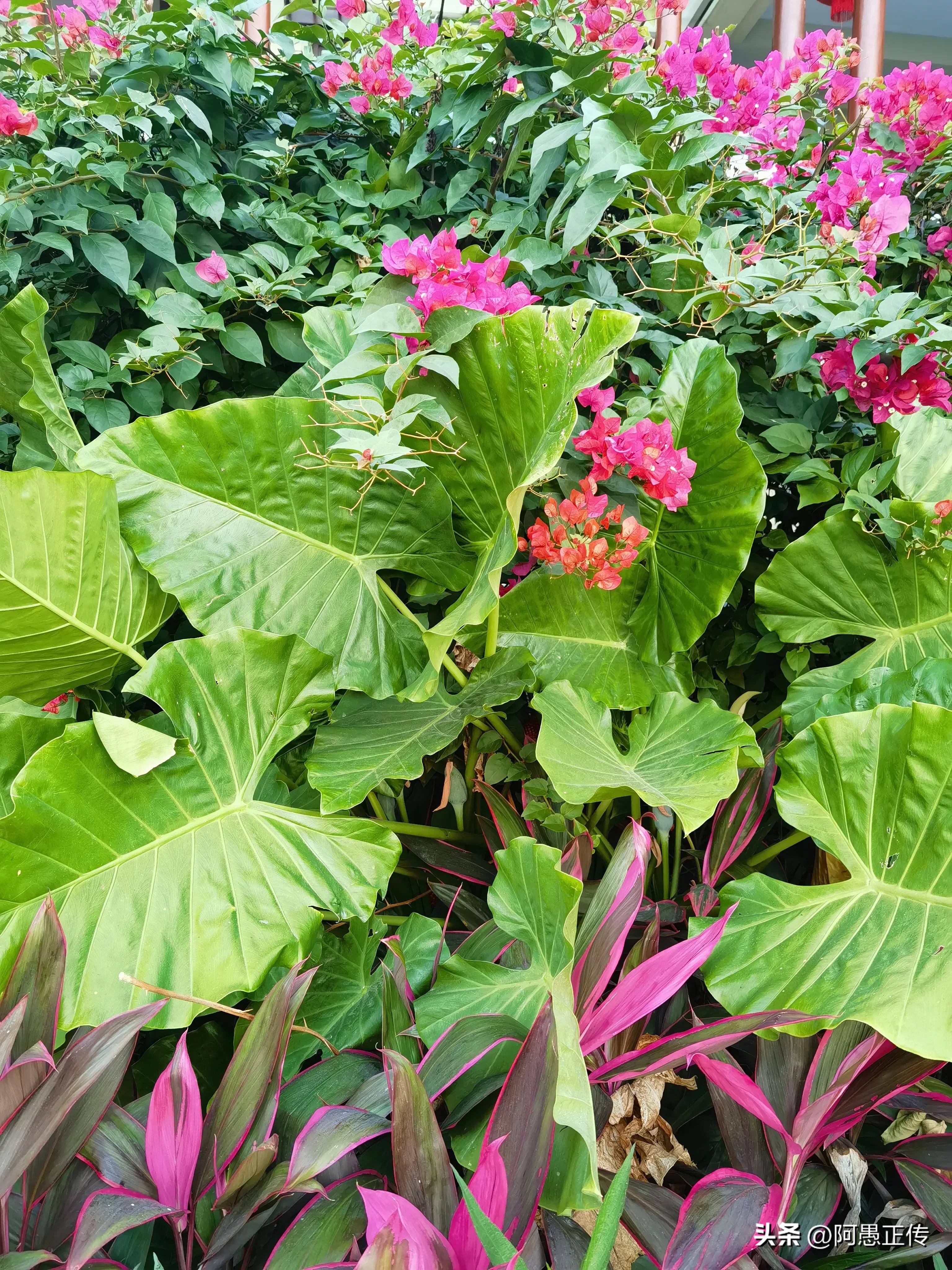 您赞同与子女一起生活吗