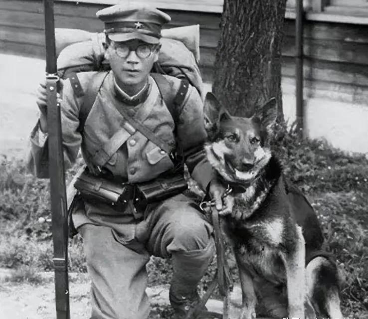 一小战士被鬼子推进狼狗池，10条狼狗扑上来，他冷笑：再多来几只