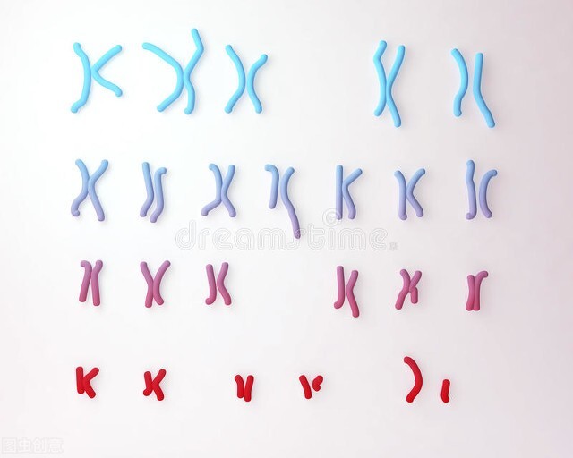 男性的乳房为何在进化中消失,男性为什么进化出喉结