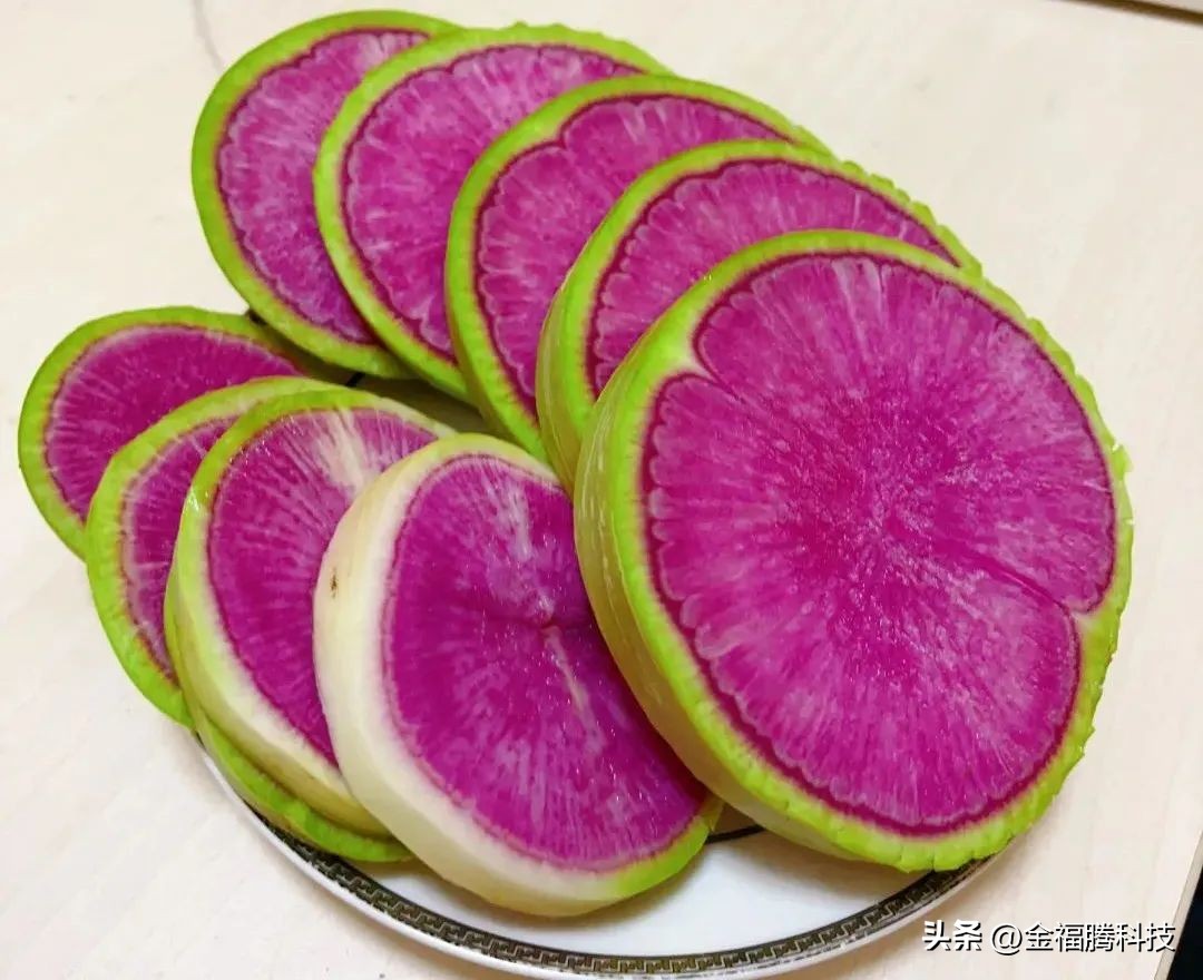 金玉园萝卜熟了~15日采摘期，清甜无辣，原汁原味，自然生长