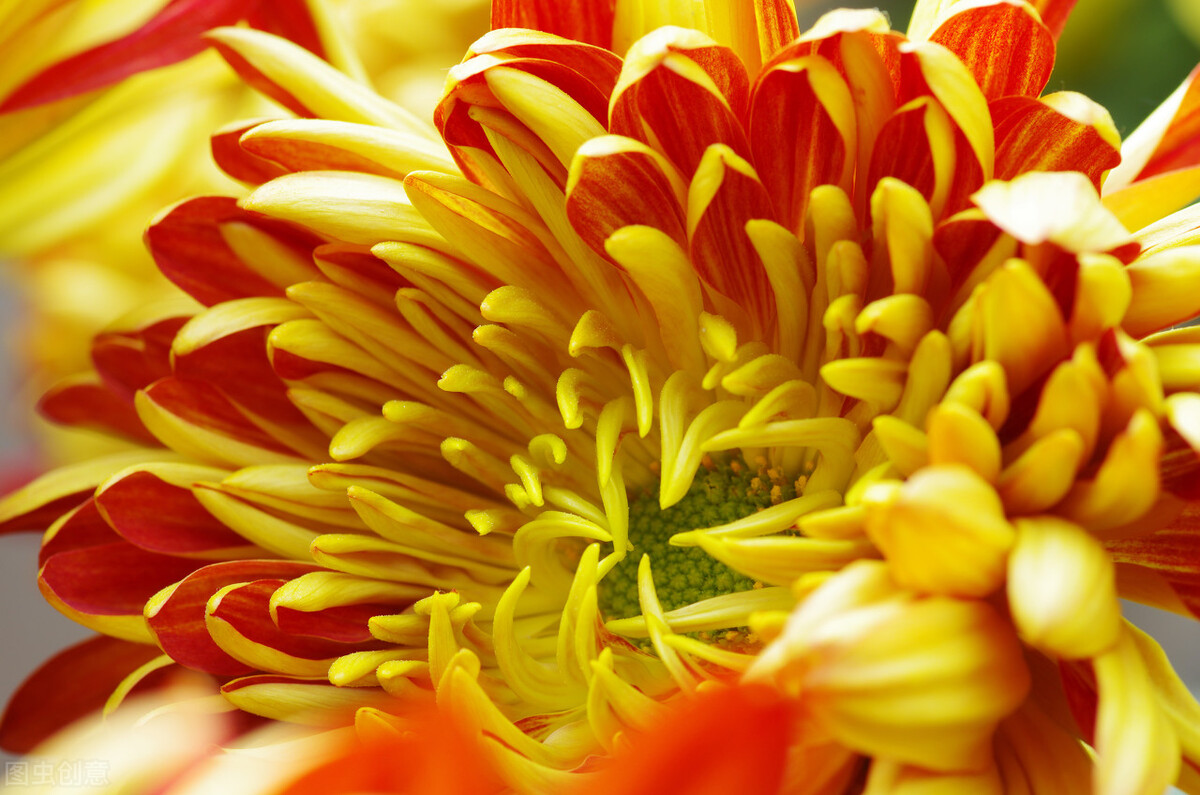 郭进栓汝州,郭进栓