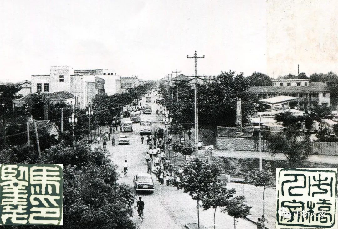 ［新浦老街］解放东路出土的水准点揭示了89年的成路之因