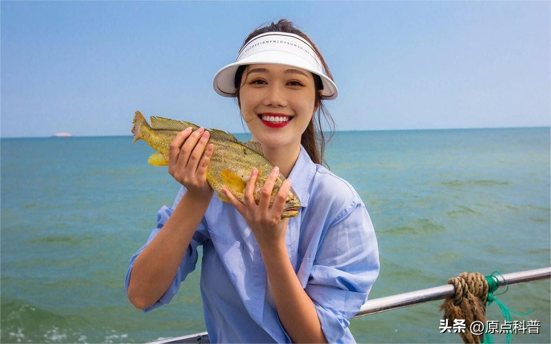 世界上最贵的海鲜十大排名,世界十大名贵海鲜