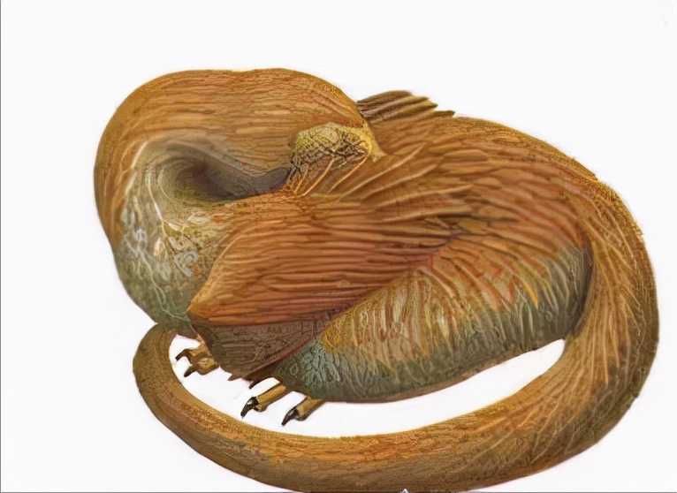 恐龙小百科认识更多的恐龙,恐龙大百科里有什么没见过的恐龙