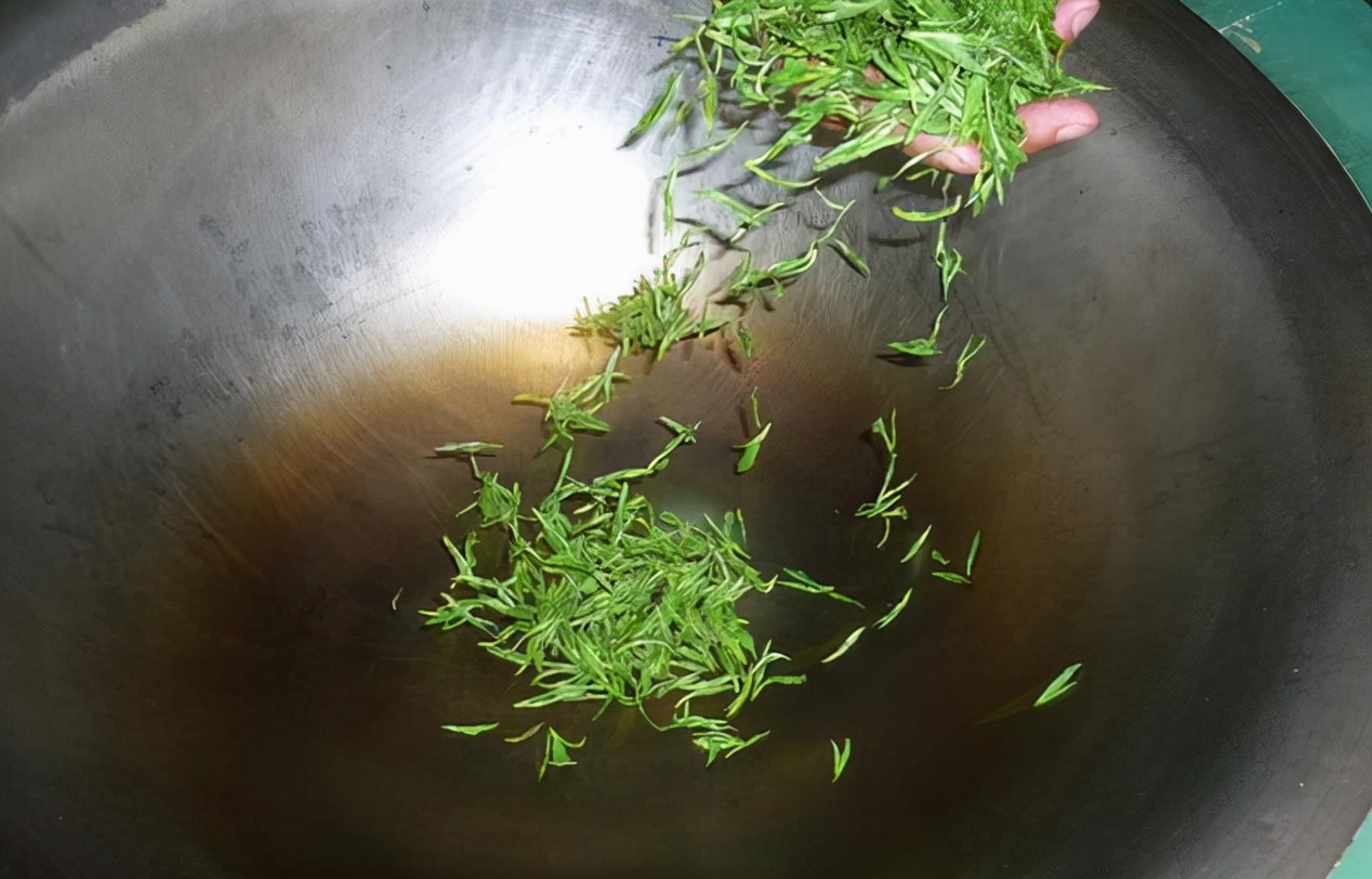 茶知识之绿茶,六大茶类中被误解的绿茶知识科普