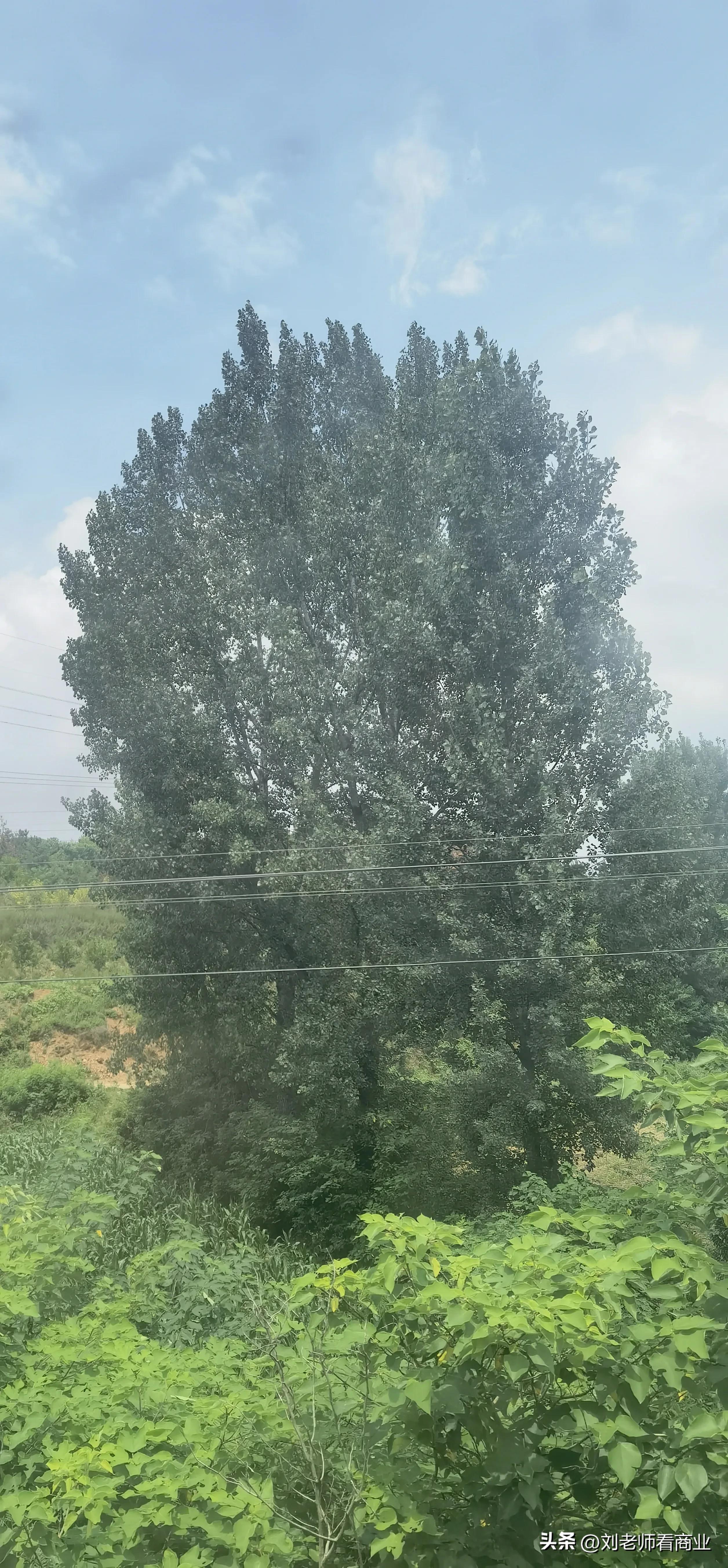 深圳至洛阳k536途经站点,从上海到洛阳k738列车