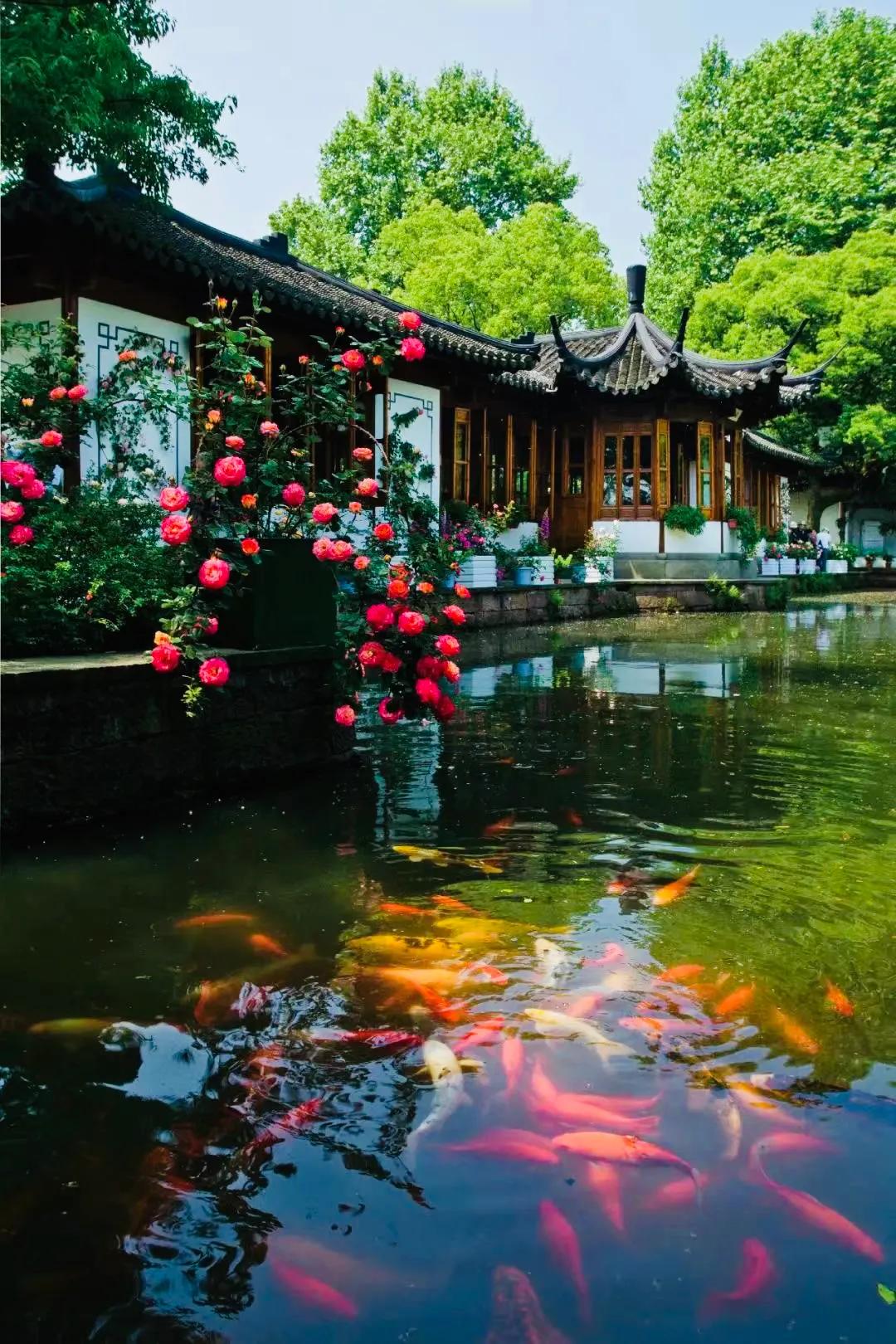 閮簞鍒樺簞,钂嬪簞鍒樺簞