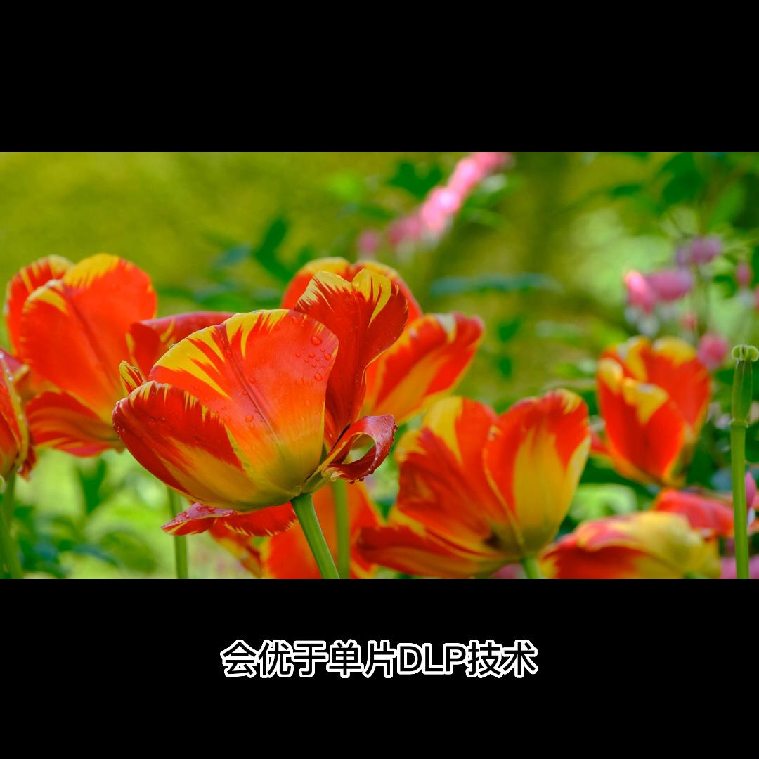 索诺克sonnoc投影仪怎么样,索诺克Sonnoc投影仪