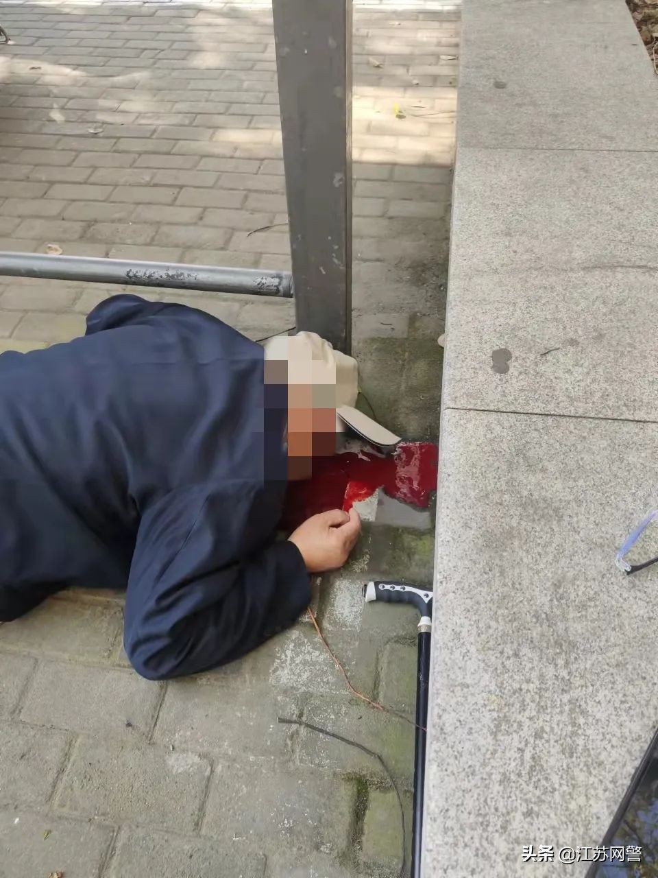 春暖花开的季节到了苏州,老家的寒冬腊月苏州的春暖花开